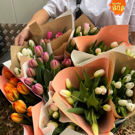 Wrapped Tulips