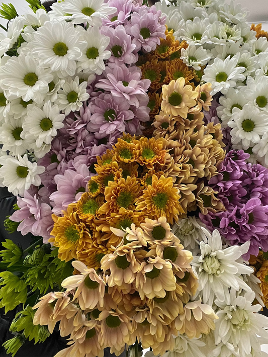 Chrysanthemum Market Bunch