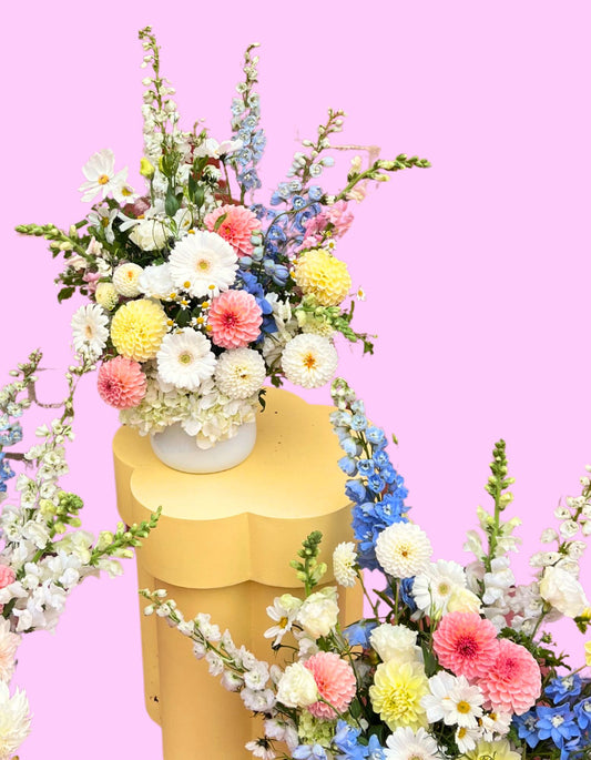 Florist Choice Potted Arrangement
